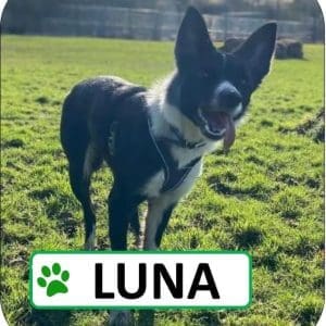Luna Sponsorship Pack